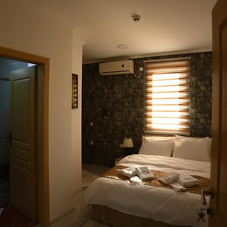 Hotel Old Alisa 4*